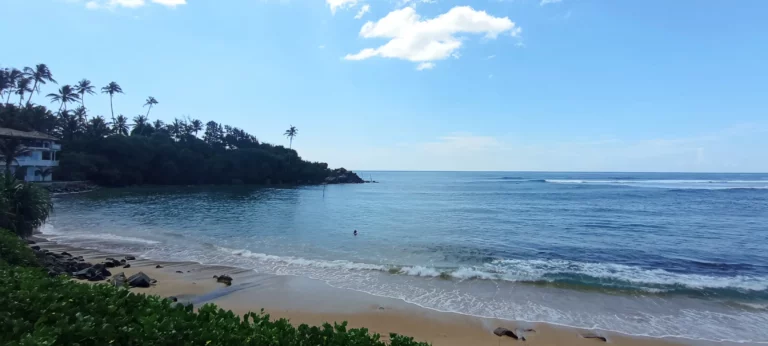 Holyfins Ultimate Surfing Guide for Sri Lanka