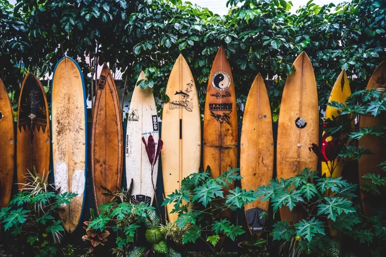Surfboard Yellowing: Causes, Prevention, and Solutions